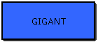 GIGANT